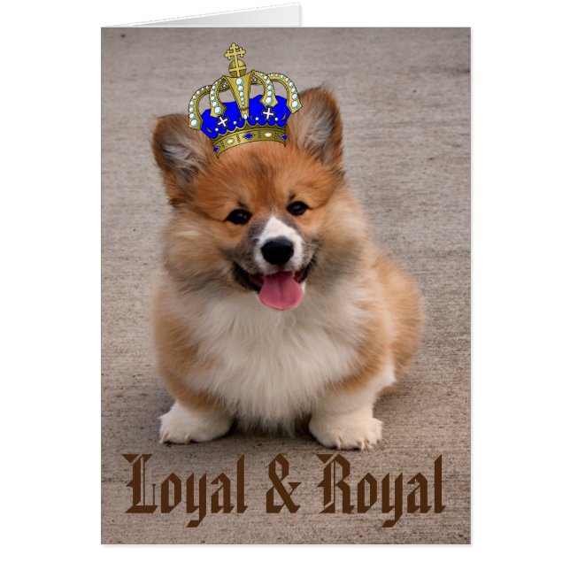 Photo de marionnette Loyal et Royal Corgi (Devant)