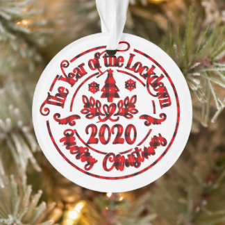 Photo de Noël 2020 de verrouillage