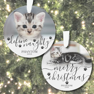 Photo de Noël de chat vilain défini par l'animal d