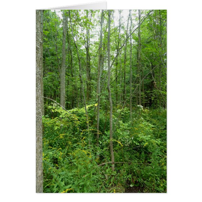 Photo "de pays de cottage" (Devant)