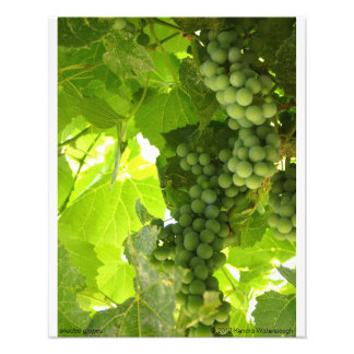 Photo de raisins ombrés