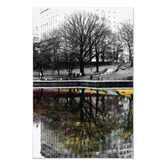 Photo de réflexion sur l'arbre du parc central (Devant)