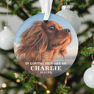 Photo de souvenir Mémorial pour animaux de compagn