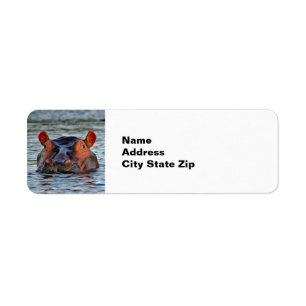 Photo d'eau d'Hippo Faune