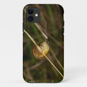 photo d'insecte dans une coquille sur une herbe iPhone 11 case