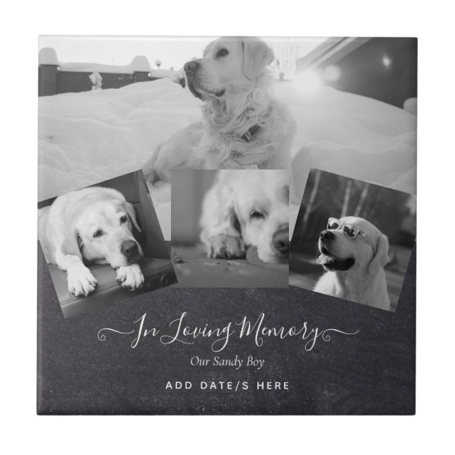 PHOTO Dog Memorial Gift- Pet Loss Keepsake Collage Tile (Front)