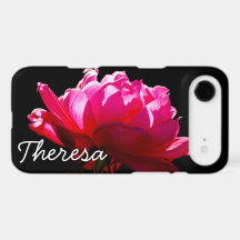 Photo Dramatique Rose Rouge