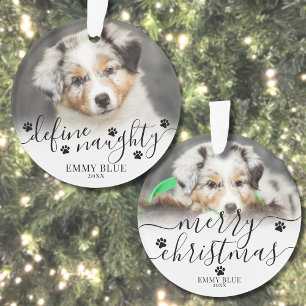Photo drôle de chien de Noël pour animaux de compa