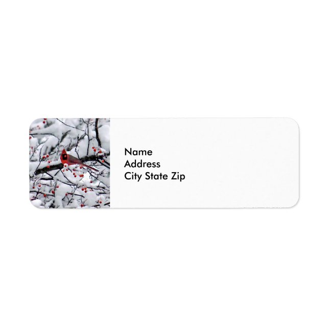 Photo du cardinal Snow Tree (Devant)