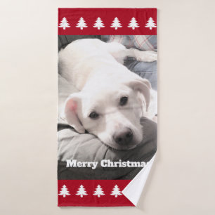 Photo du chien blanc mignon Red Christmas Trees Ba