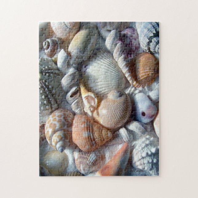 Photo du puzzle Seashells (Vertical)