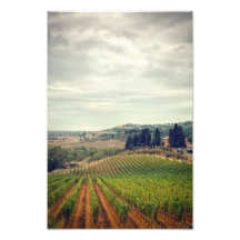 Photo du vignoble toscan avec ciel sombre