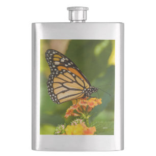photo d'un papillon sur une fleur hip flask