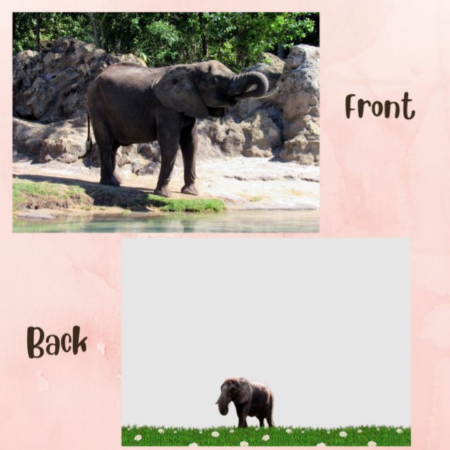 Photo d'une carte africaine éléphant (elephant flat card)