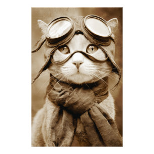 Photo Écharpe Chat Lunettes Vintage Impression Rétro