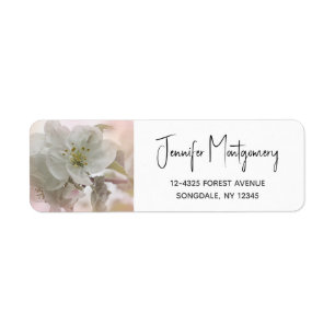 Photo en fleurs de pomme blanche