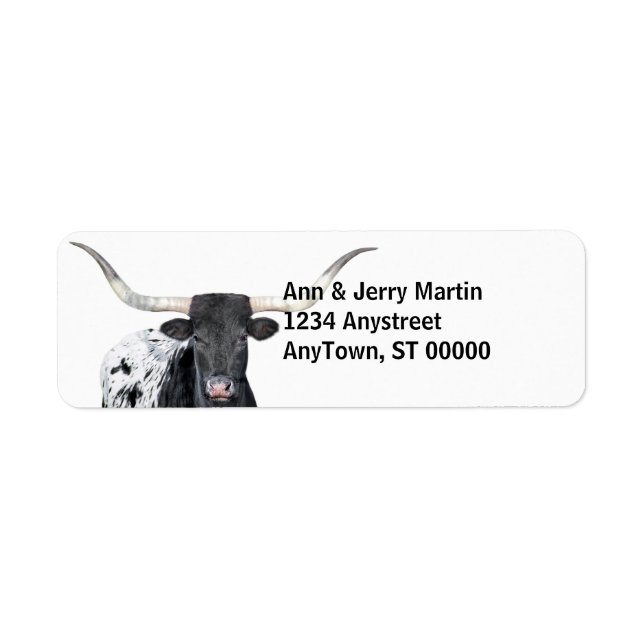 photo en noir et blanc de longhorn cow (Devant)