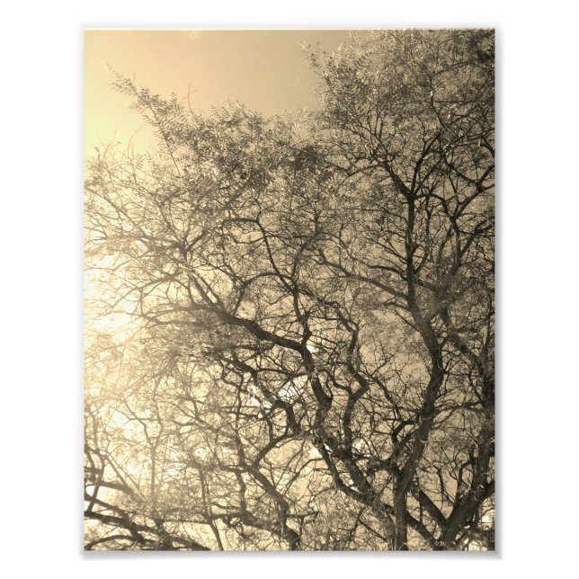 Photo Enlargement (Devant)