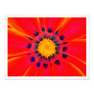 Photo Enlargement Print