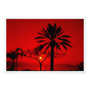 Photo Enlargement Print