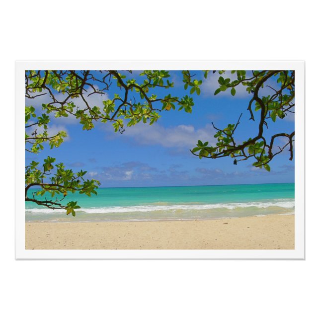 Photo Enlargement Print (Front)