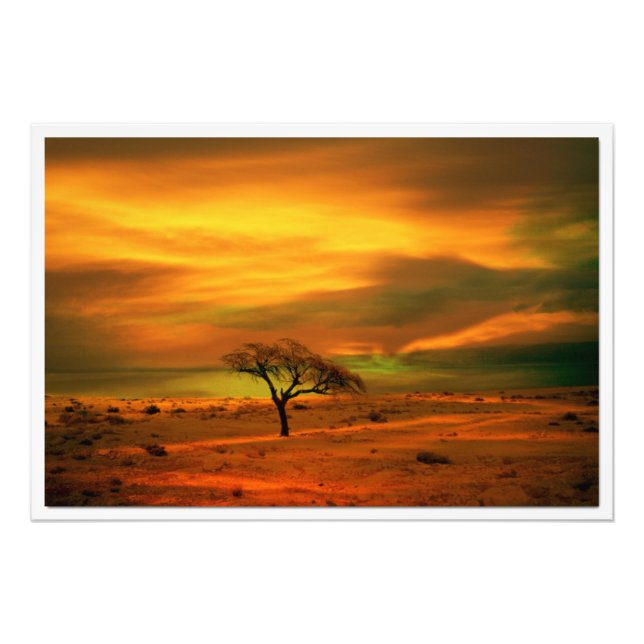 Photo Enlargement Print (Front)