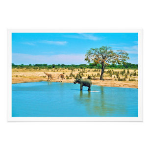 Photo Enlargement Print