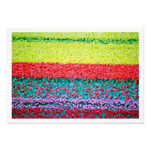 Photo Enlargement Print