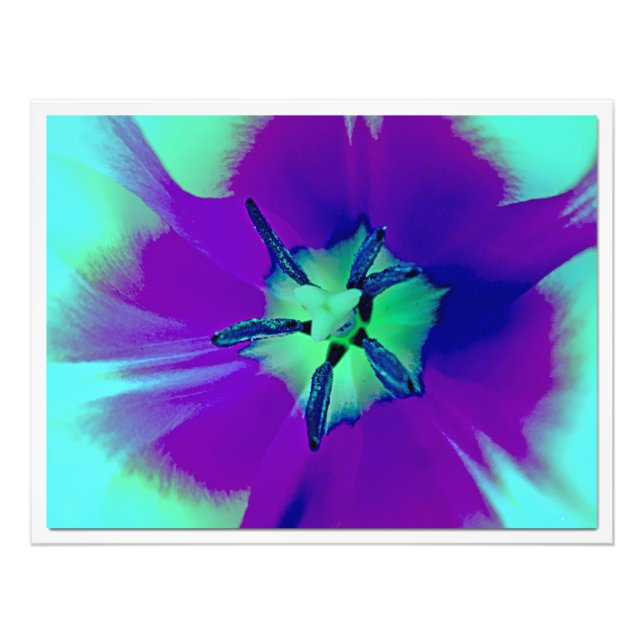 Photo Enlargement Print (Front)