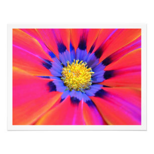 Photo Enlargement Print