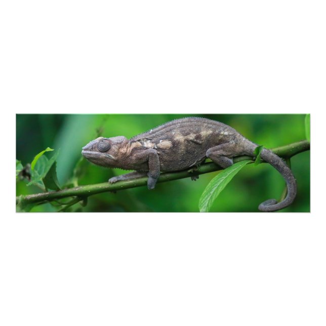 Photo enlargements (Front)