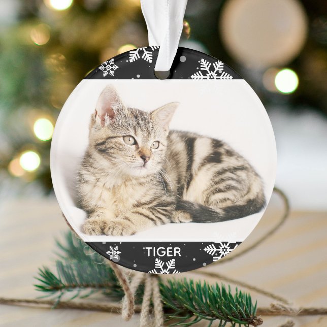 Photo et nom de 2 animaux Snowy 2 pour Noël Chat d (Créateur téléchargé)