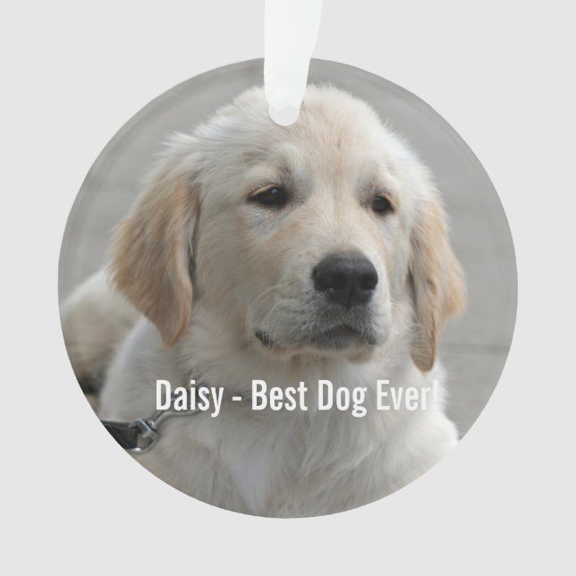 Photo et nom personnalisés Golden Retriever Dog (devant)