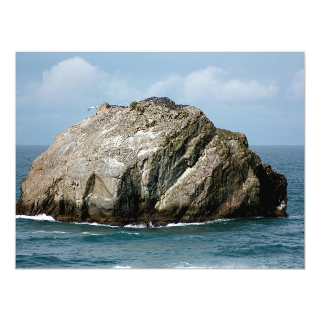 Photo Face Rock de Bandon Oregon (Devant)