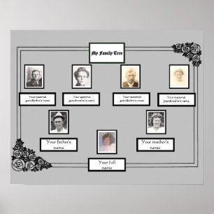 Photo Family Tree Rose Drawing Border on Grey Poster