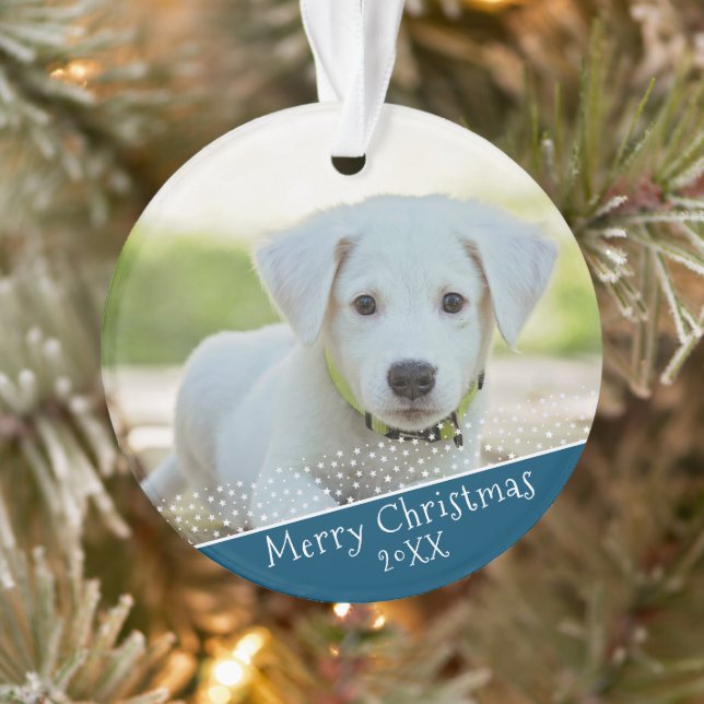 Photo Fête de Noël pour animaux familiers (Arbre)