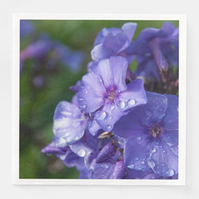 photo fleur violet napkin (Front)