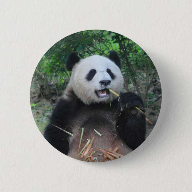 Photo Giant Panda 2 Inch Round Button (Front)