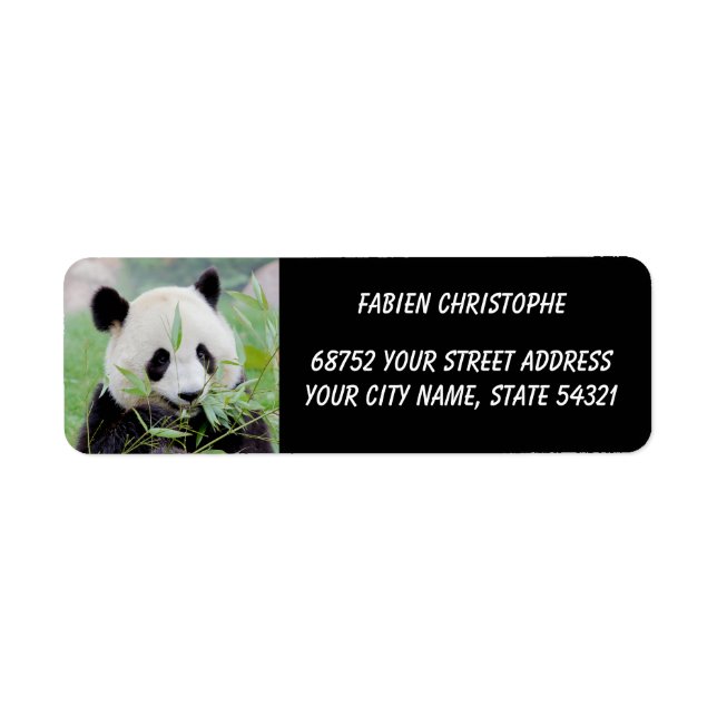 Photo giant panda , animals 0345. (Front)