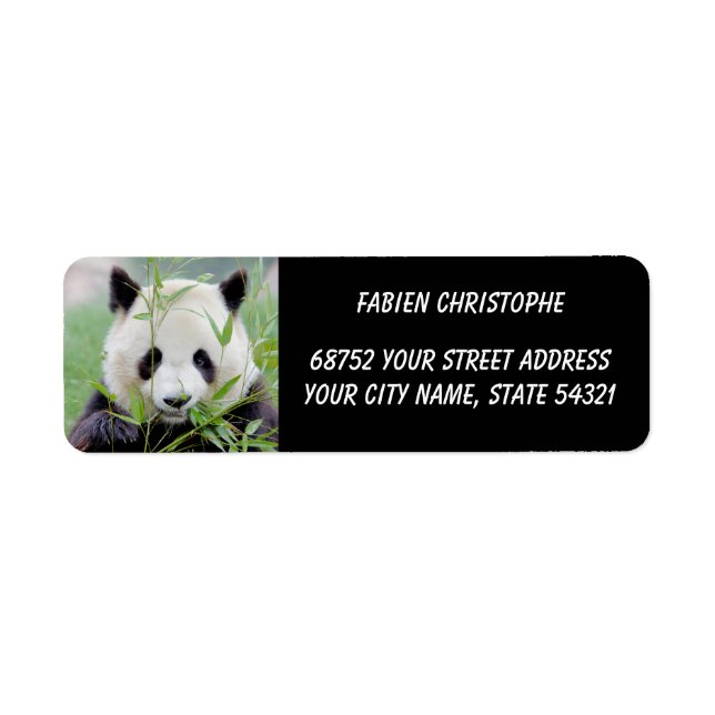 Photo giant panda , animals 0346. (Front)