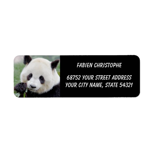 Photo giant panda , animals 0348. (Front)