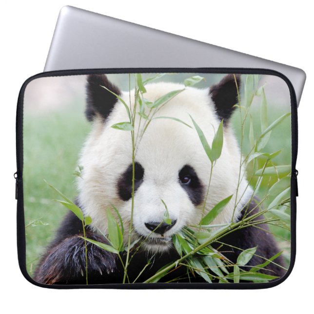 Photo giant panda , animals laptop cases .  (Front)