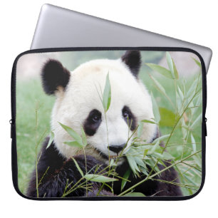 Photo giant panda , animals laptop cases .