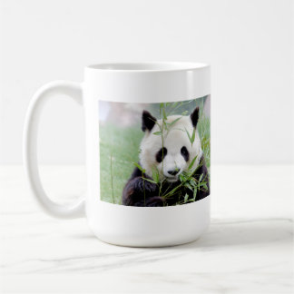 Photo giant panda. Panda geant. Coffee Mug