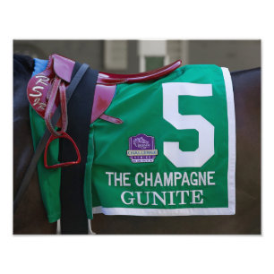 Photo Gunite Saddlecloth Imprimer