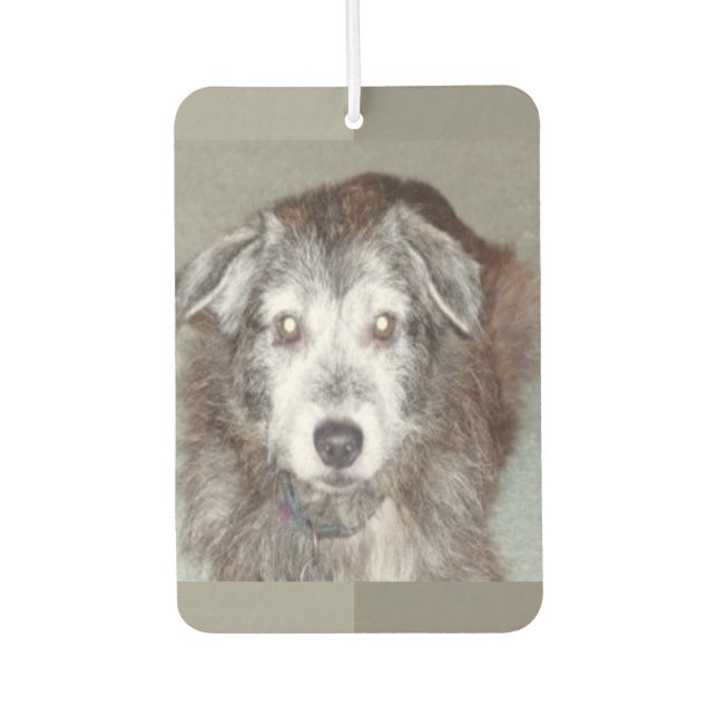 Photo Heart Shape Personalize Air Freshener (Front)