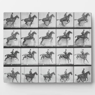 Photo Homme et cheval sautant une clôture, plaque 640 de