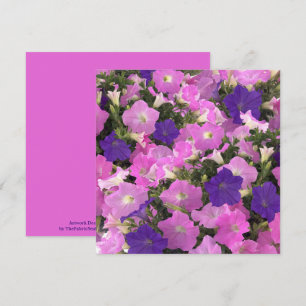 Photo Image Of Morning Glory Pink & Purple Flowers Card