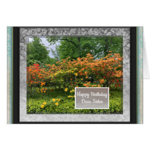 Photo Images de la carte d'anniversaire Soeur