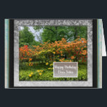 Photo Images for Sister Birthday Card<br><div class="desc">Wish your dear sister a happy birthday and add one of your own photos that she'll appreciate to the fancy frame borders on this card.  Speckled multicolor frames accent the photos.  Change wording as desired.</div>